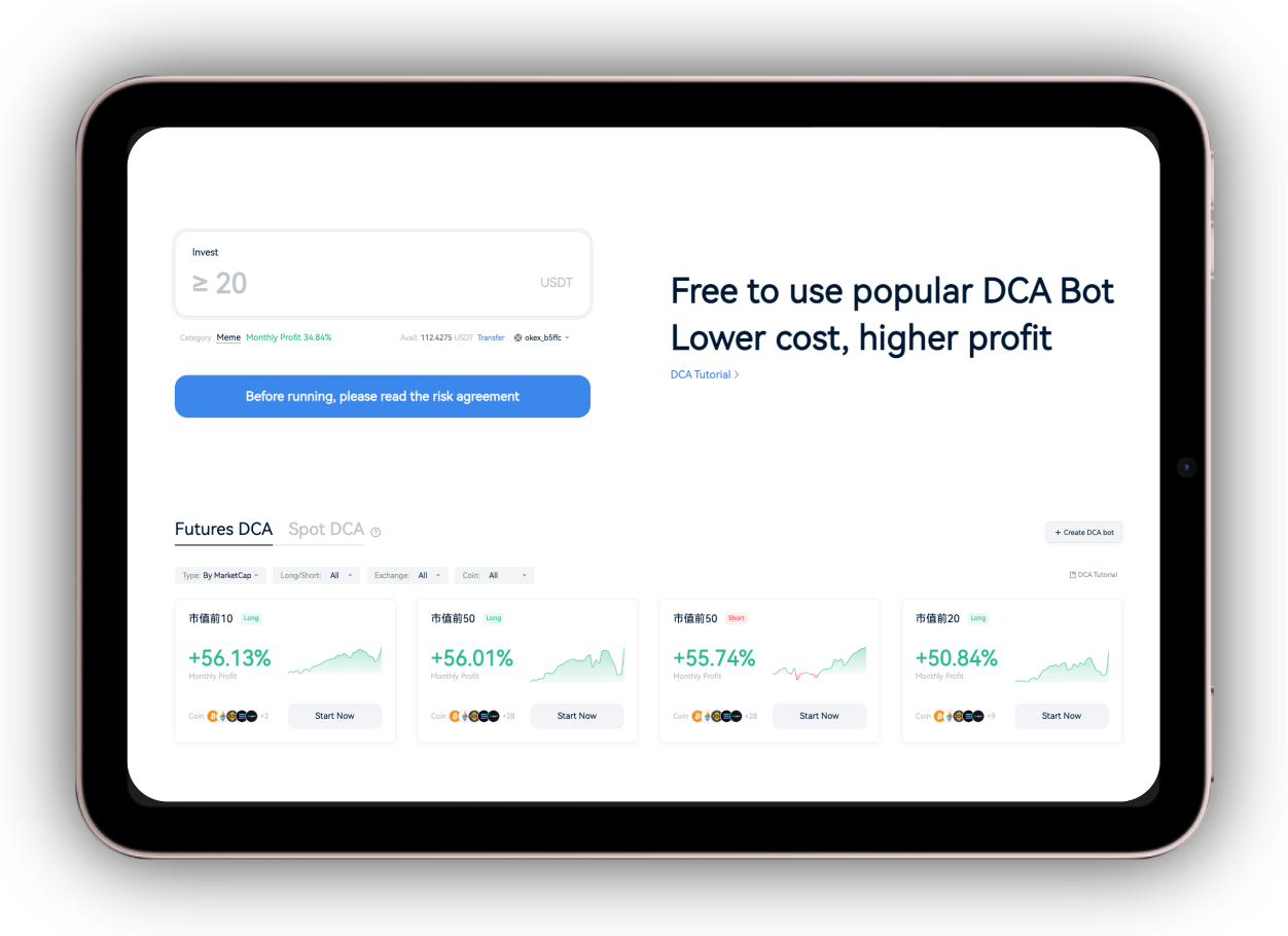 iPad Mini 展示界面